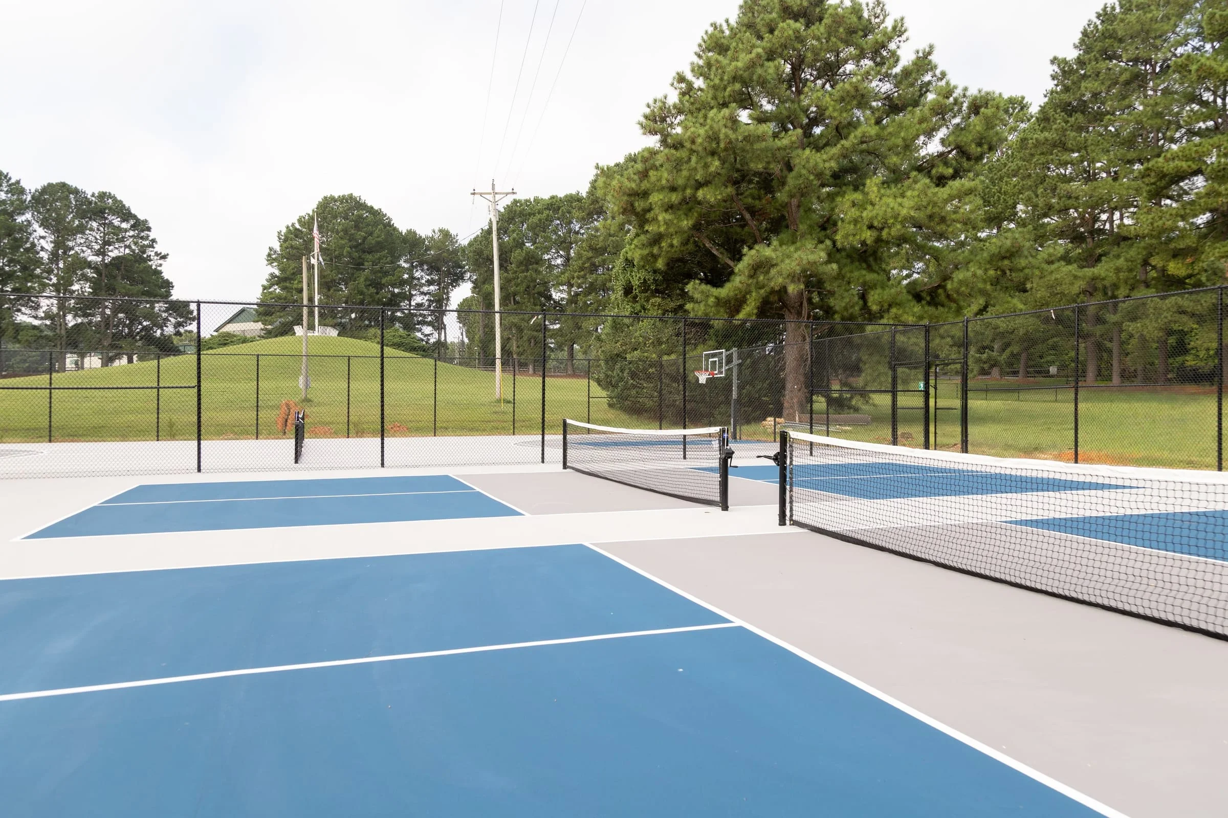 Blue pickleball courts with nets up, pines behind